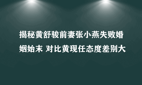 揭秘黄舒骏前妻张小燕失败婚姻始末 对比黄现任态度差别大