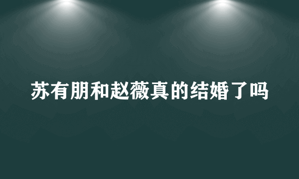 苏有朋和赵薇真的结婚了吗