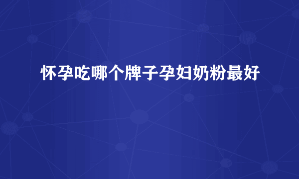 怀孕吃哪个牌子孕妇奶粉最好