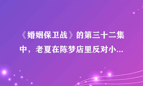 《婚姻保卫战》的第三十二集中，老夏在陈梦店里反对小小跟李刚在一起说的那段话是什么？