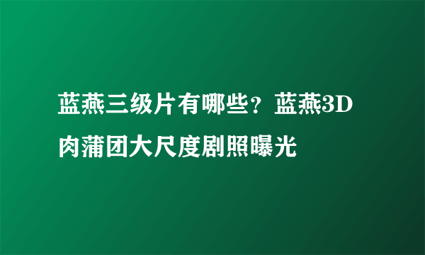 蓝燕三级片有哪些？蓝燕3D肉蒲团大尺度剧照曝光