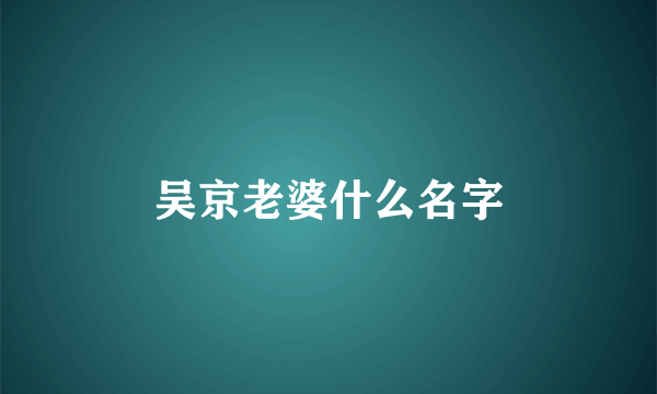 吴京老婆什么名字