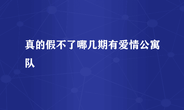 真的假不了哪几期有爱情公寓队