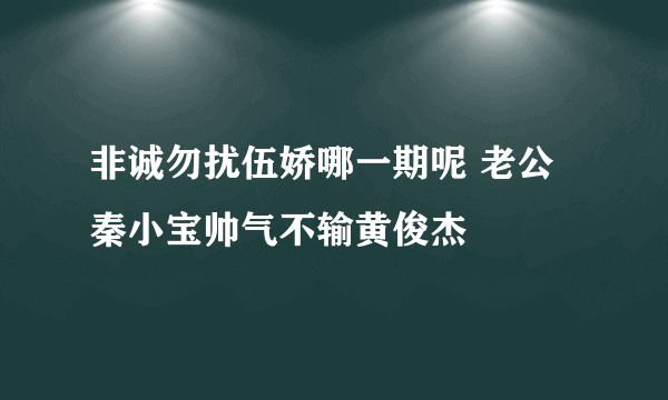 非诚勿扰伍娇哪一期呢 老公秦小宝帅气不输黄俊杰