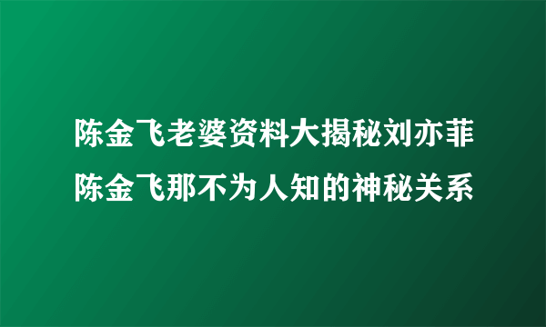 陈金飞老婆资料大揭秘刘亦菲陈金飞那不为人知的神秘关系