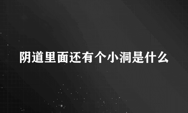 阴道里面还有个小洞是什么