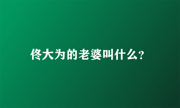 佟大为的老婆叫什么？