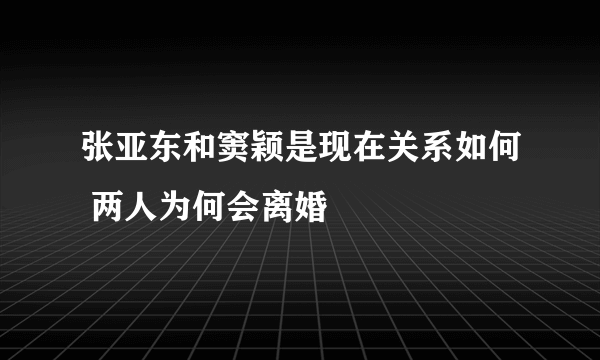 张亚东和窦颖是现在关系如何 两人为何会离婚