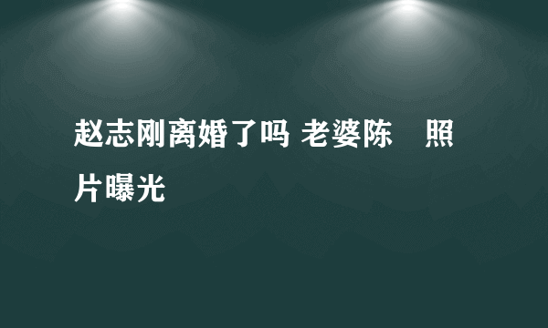 赵志刚离婚了吗 老婆陈湜照片曝光