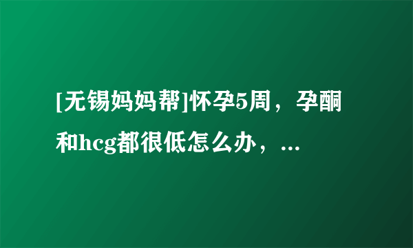 [无锡妈妈帮]怀孕5周，孕酮和hcg都很低怎么办，宝宝能保得住吗？有经验的jm说下呢