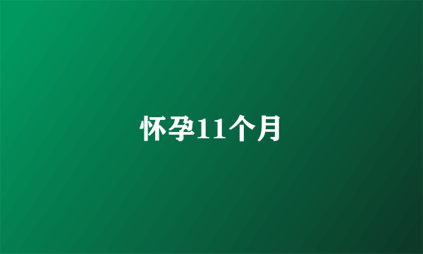 怀孕11个月