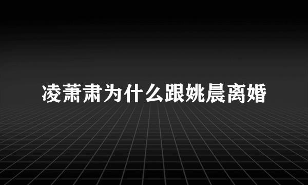 凌萧肃为什么跟姚晨离婚