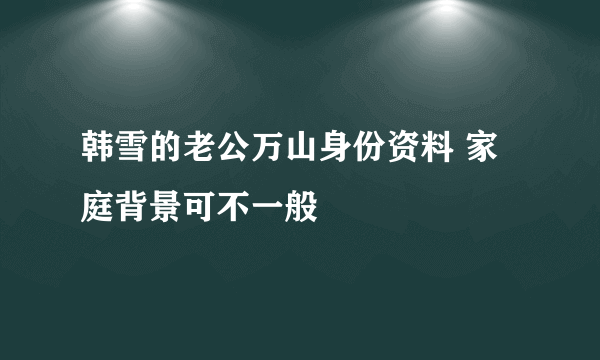 韩雪的老公万山身份资料 家庭背景可不一般