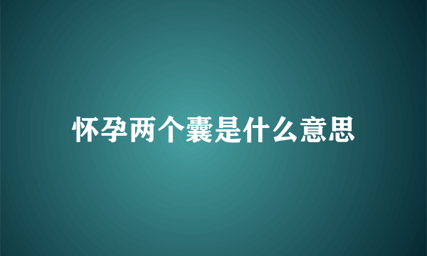 怀孕两个囊是什么意思