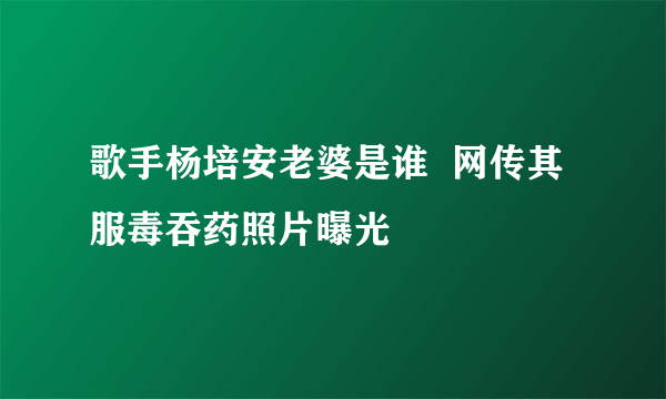 歌手杨培安老婆是谁  网传其服毒吞药照片曝光