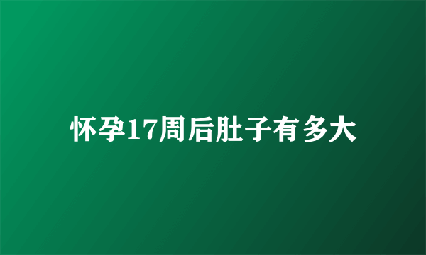 怀孕17周后肚子有多大