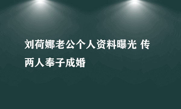 刘荷娜老公个人资料曝光 传两人奉子成婚