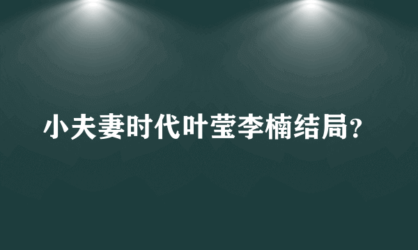 小夫妻时代叶莹李楠结局？