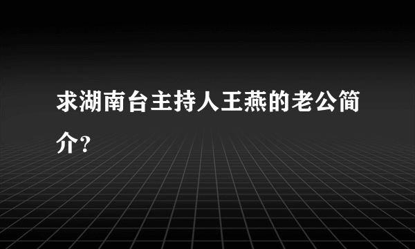 求湖南台主持人王燕的老公简介？