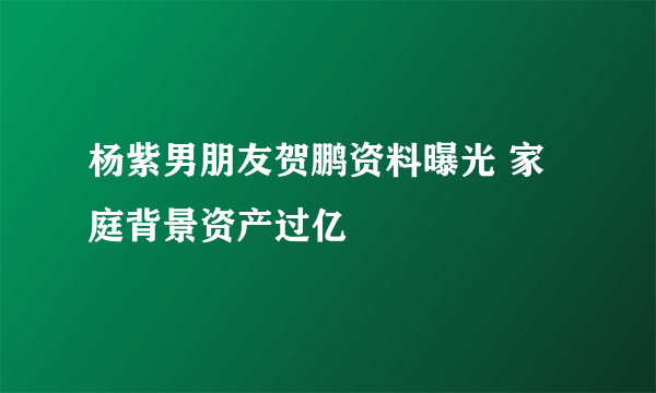 杨紫男朋友贺鹏资料曝光 家庭背景资产过亿