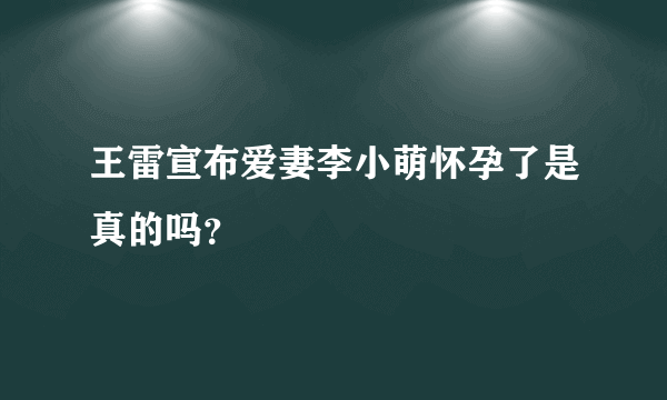 王雷宣布爱妻李小萌怀孕了是真的吗？