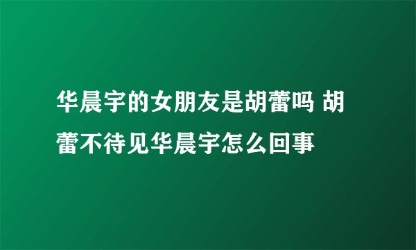 华晨宇的女朋友是胡蕾吗 胡蕾不待见华晨宇怎么回事