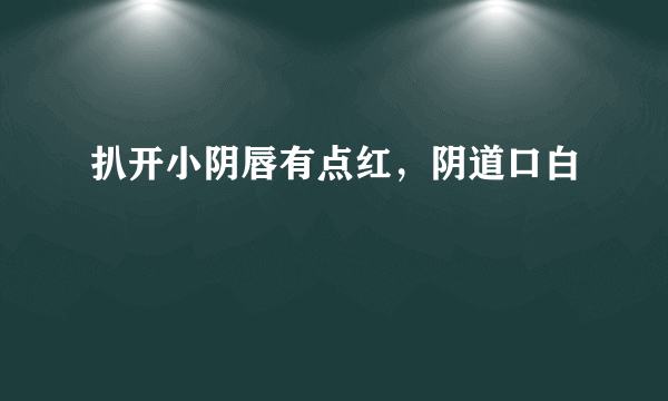 扒开小阴唇有点红，阴道口白