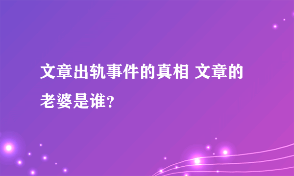 文章出轨事件的真相 文章的老婆是谁？