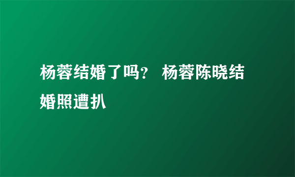 杨蓉结婚了吗？ 杨蓉陈晓结婚照遭扒