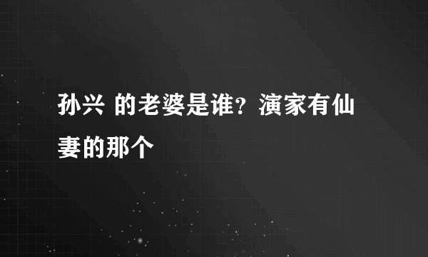 孙兴 的老婆是谁？演家有仙妻的那个