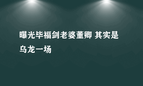 曝光毕福剑老婆董卿 其实是乌龙一场