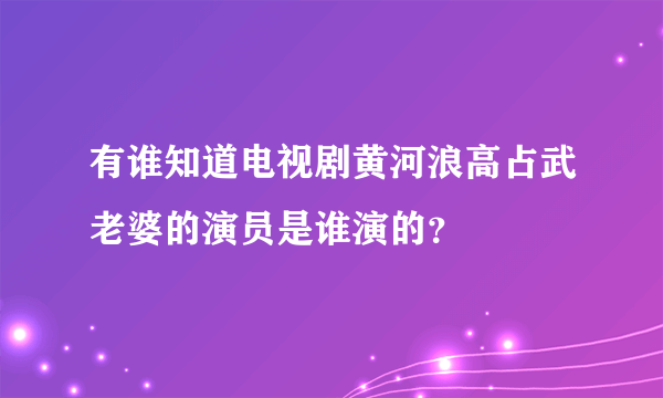 有谁知道电视剧黄河浪高占武老婆的演员是谁演的？