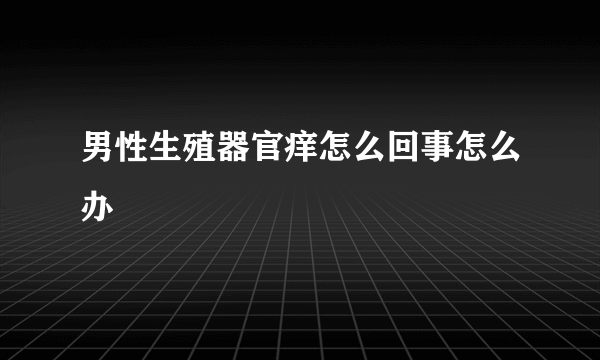 男性生殖器官痒怎么回事怎么办