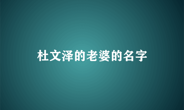 杜文泽的老婆的名字