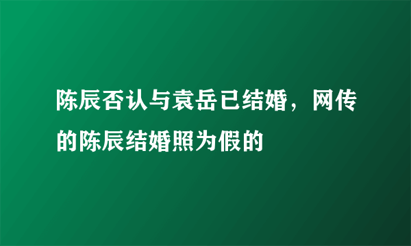 陈辰否认与袁岳已结婚，网传的陈辰结婚照为假的