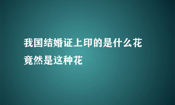 我国结婚证上印的是什么花 竟然是这种花