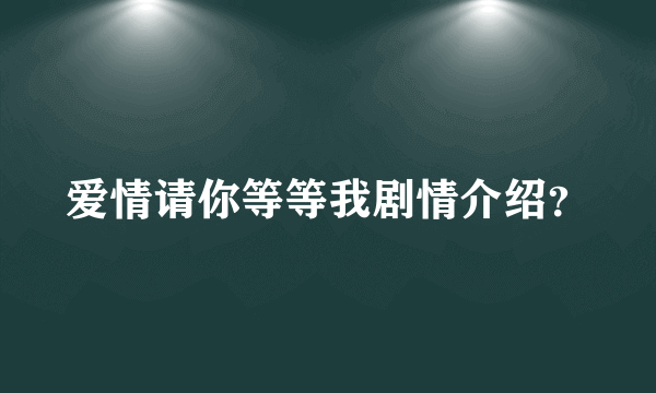 爱情请你等等我剧情介绍？