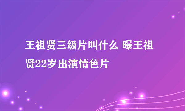 王祖贤三级片叫什么 曝王祖贤22岁出演情色片