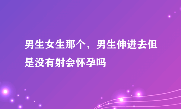 男生女生那个，男生伸进去但是没有射会怀孕吗