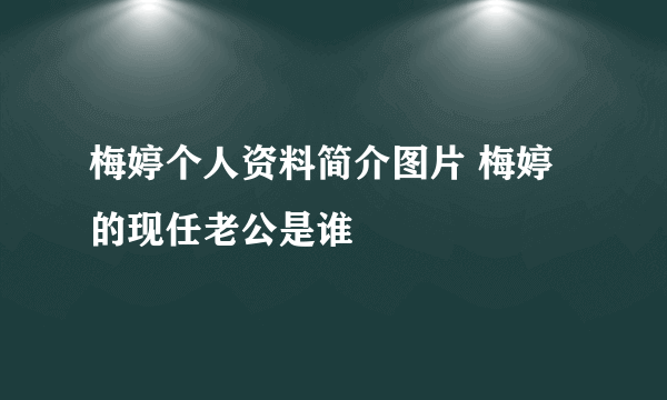 梅婷个人资料简介图片 梅婷的现任老公是谁