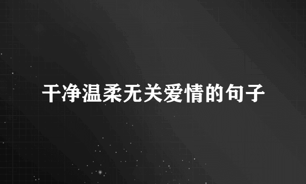 干净温柔无关爱情的句子