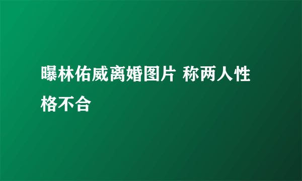 曝林佑威离婚图片 称两人性格不合