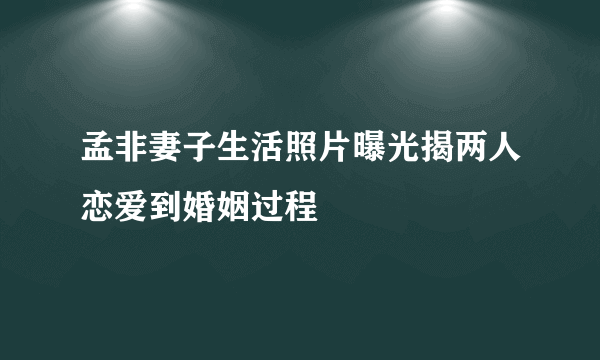 孟非妻子生活照片曝光揭两人恋爱到婚姻过程