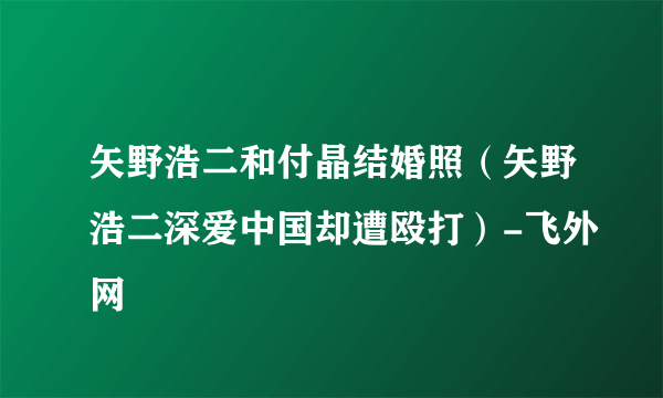 矢野浩二和付晶结婚照（矢野浩二深爱中国却遭殴打）-飞外网