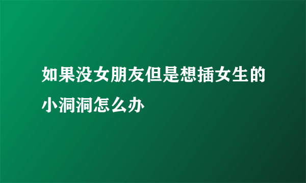 如果没女朋友但是想插女生的小洞洞怎么办