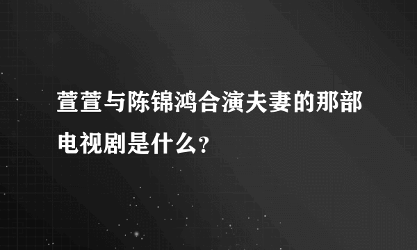 萱萱与陈锦鸿合演夫妻的那部电视剧是什么？