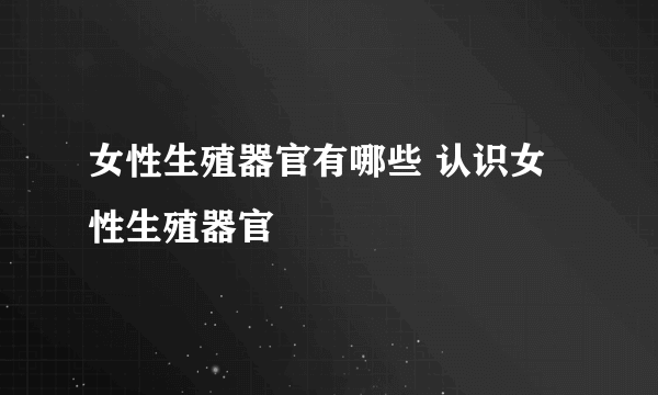 女性生殖器官有哪些 认识女性生殖器官