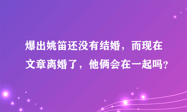 爆出姚笛还没有结婚，而现在文章离婚了，他俩会在一起吗？