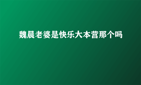 魏晨老婆是快乐大本营那个吗