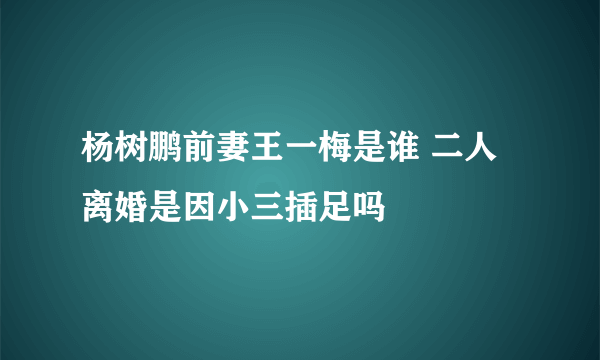 杨树鹏前妻王一梅是谁 二人离婚是因小三插足吗